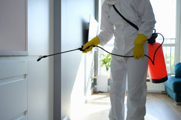 Home Mold Removal in Frederick, MD