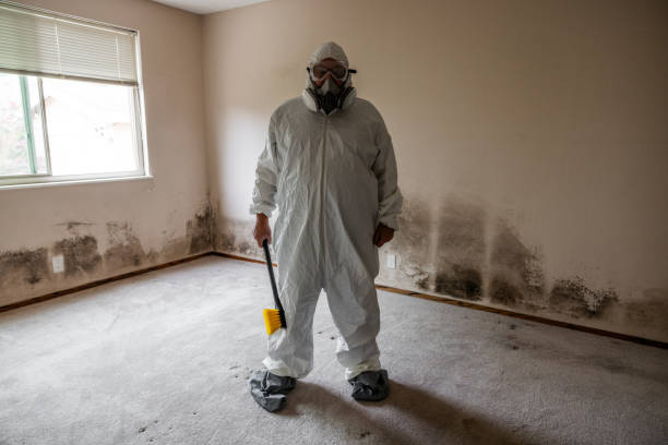 Best Mold Damage Repair  in Frederick, MD
